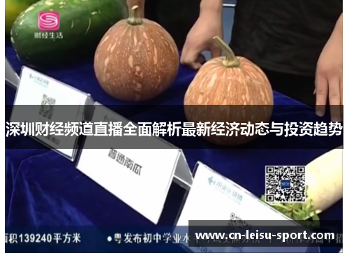 深圳财经频道直播全面解析最新经济动态与投资趋势